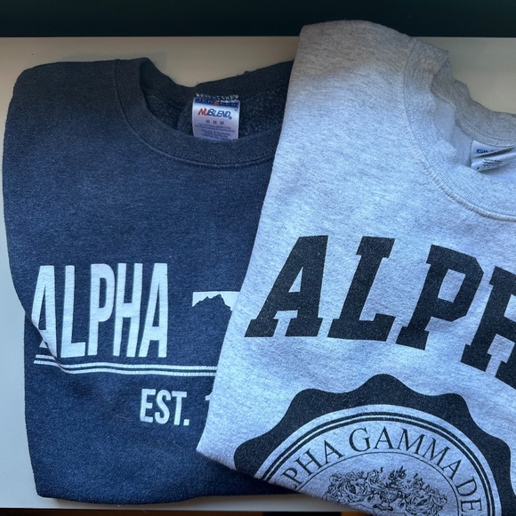 Alpha Gamma Delta Crewneck - Picture 2 of 2